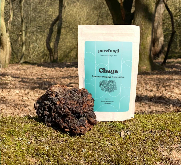 pure fungi chaga, reviewed