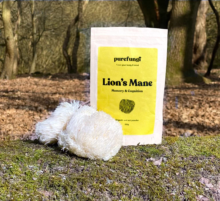 lions mane reviews