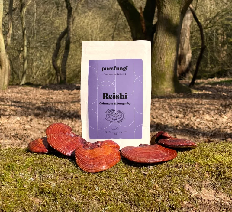 reishi mushroom supplement reviews