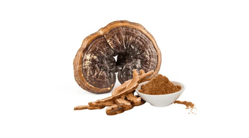 science and mushroom supplements